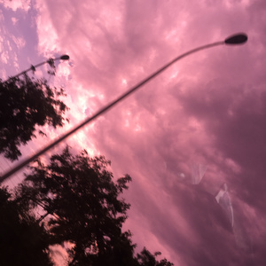 日本特黄一级AA大片24免费
