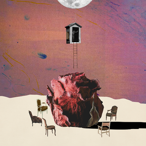 日本特黄一级AA大片24免费
